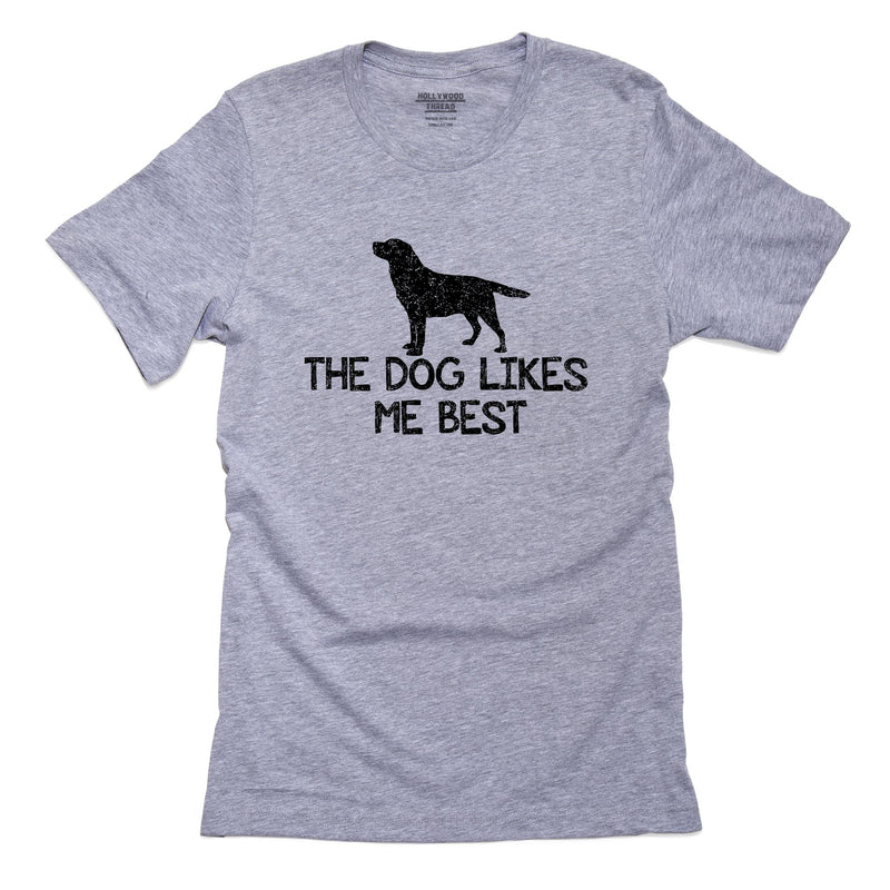 American Foxhound Dog T-Shirt, Framed Print, Pillow, Golf Towel
